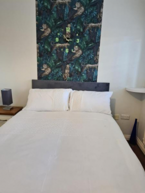 Rays special room